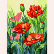Diamond Painting - Champ de coquelicots